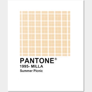 Summer Picnic Posters and Art